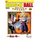 Dragon Ball 33