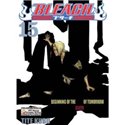 Bleach 15