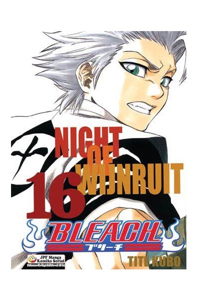 Bleach 16