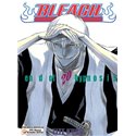 Bleach 20