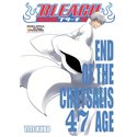 Bleach 47