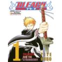 Bleach 01