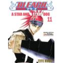 Bleach 11