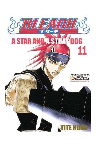 Bleach 11