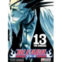 Bleach 13