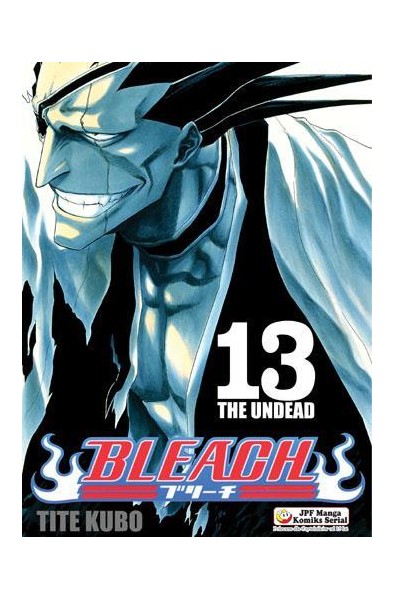 Bleach 13