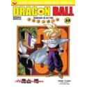 Dragon Ball 33