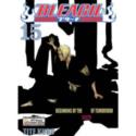 Bleach 15