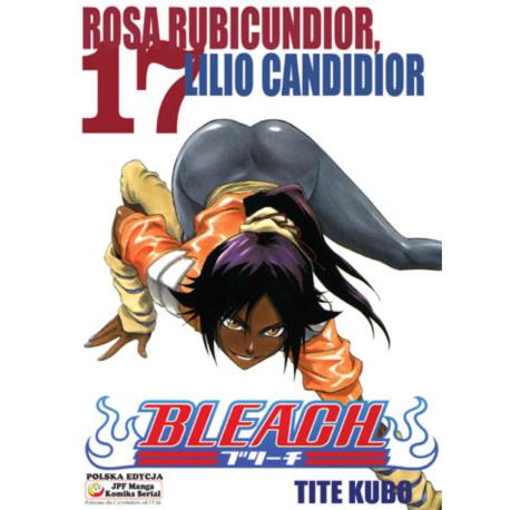 Bleach 17