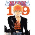 Bleach 19