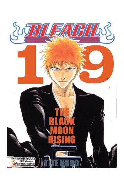 Bleach 19