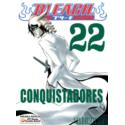 Bleach 22