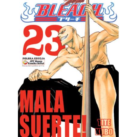 Bleach 23