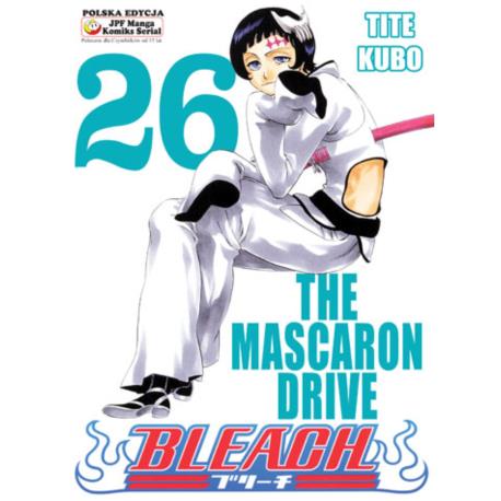 Bleach 26