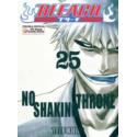 Bleach 25