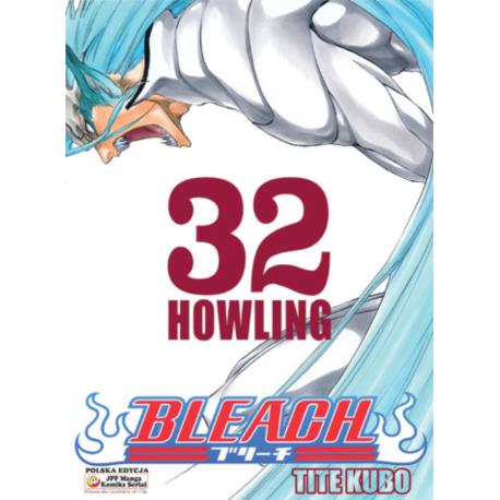 Bleach 32