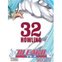 Bleach 32