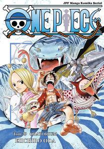 One Piece 29