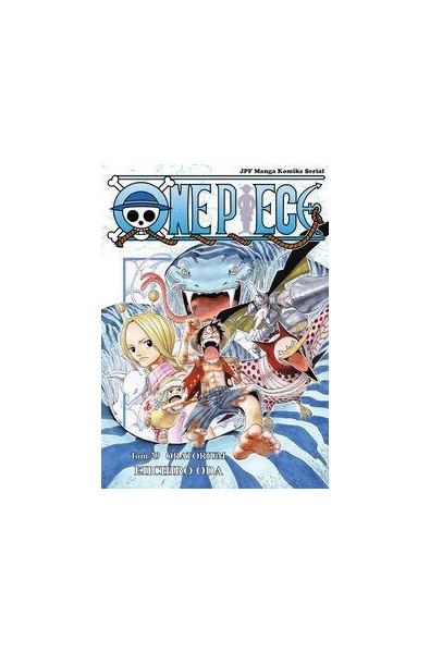 One Piece 29