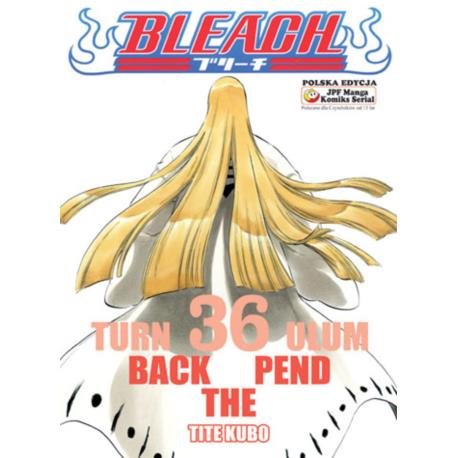 Bleach 36