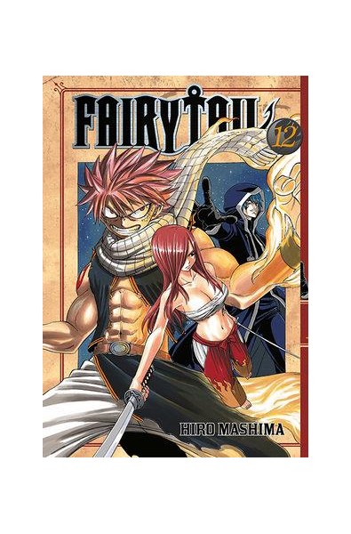 Fairy Tail 12