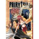 Fairy Tail 12