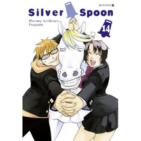 Silver Spoon 14