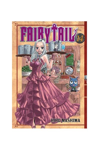 Fairy Tail 14