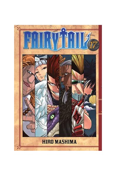 Fairy Tail 17