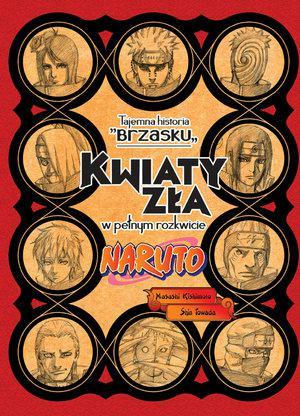 Naruto Light Novel 06 - Tajemna historia "Brzasku"