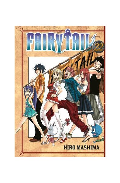 Fairy Tail 22