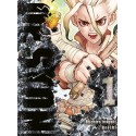 Dr Stone 01