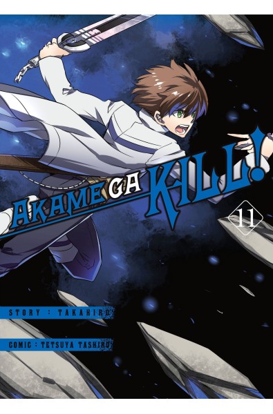 Akame ga kill! 11