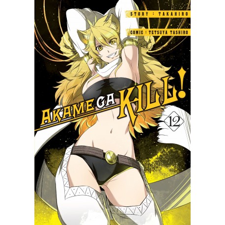 Akame ga kill! 12