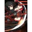 Akame ga kill! 13