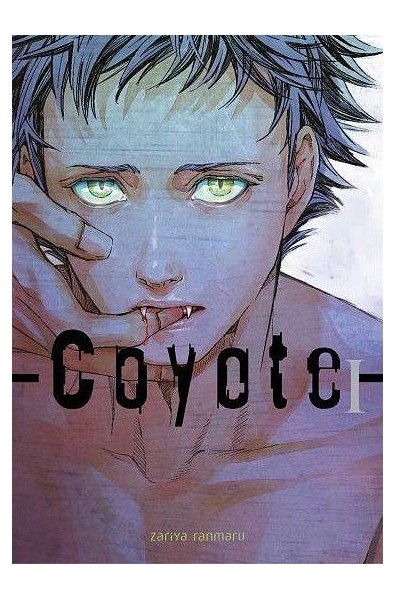 Coyote 01