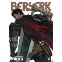 Berserk 29