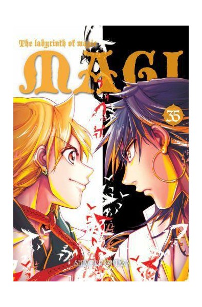 Magi: Labirynth of Magic 35