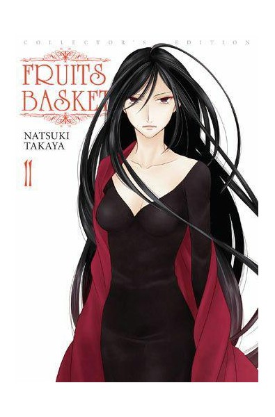 Fruits Basket 11