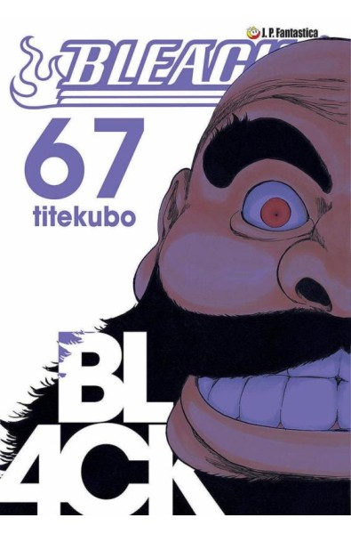 Bleach 67