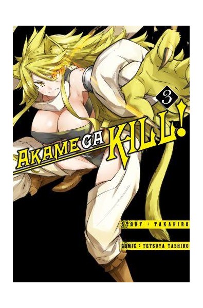 Akame ga kill! 03