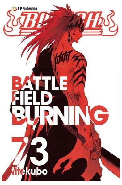 Bleach 73