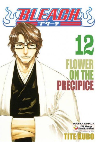 Bleach 12