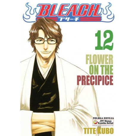 Bleach 12