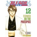 Bleach 12