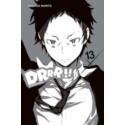 Durarara!! 13 Light Novel