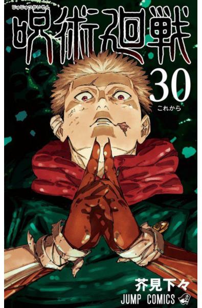 Przedpłata Jujutsu Kaisen 29